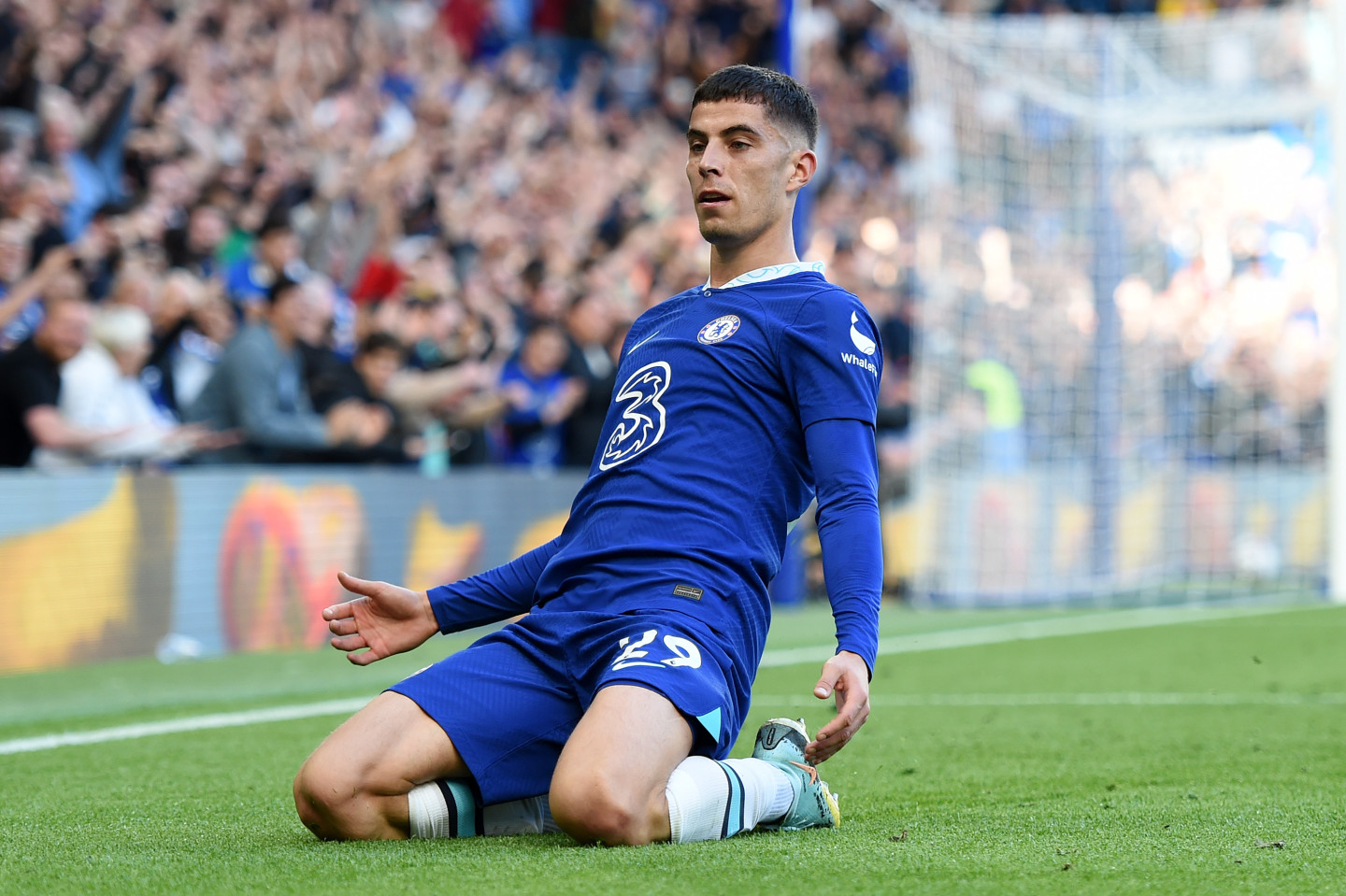 Watch chelsea vs outlet wolves online free
